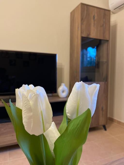 Golden House Apartment Alexandroúpolis Ngoại thất bức ảnh