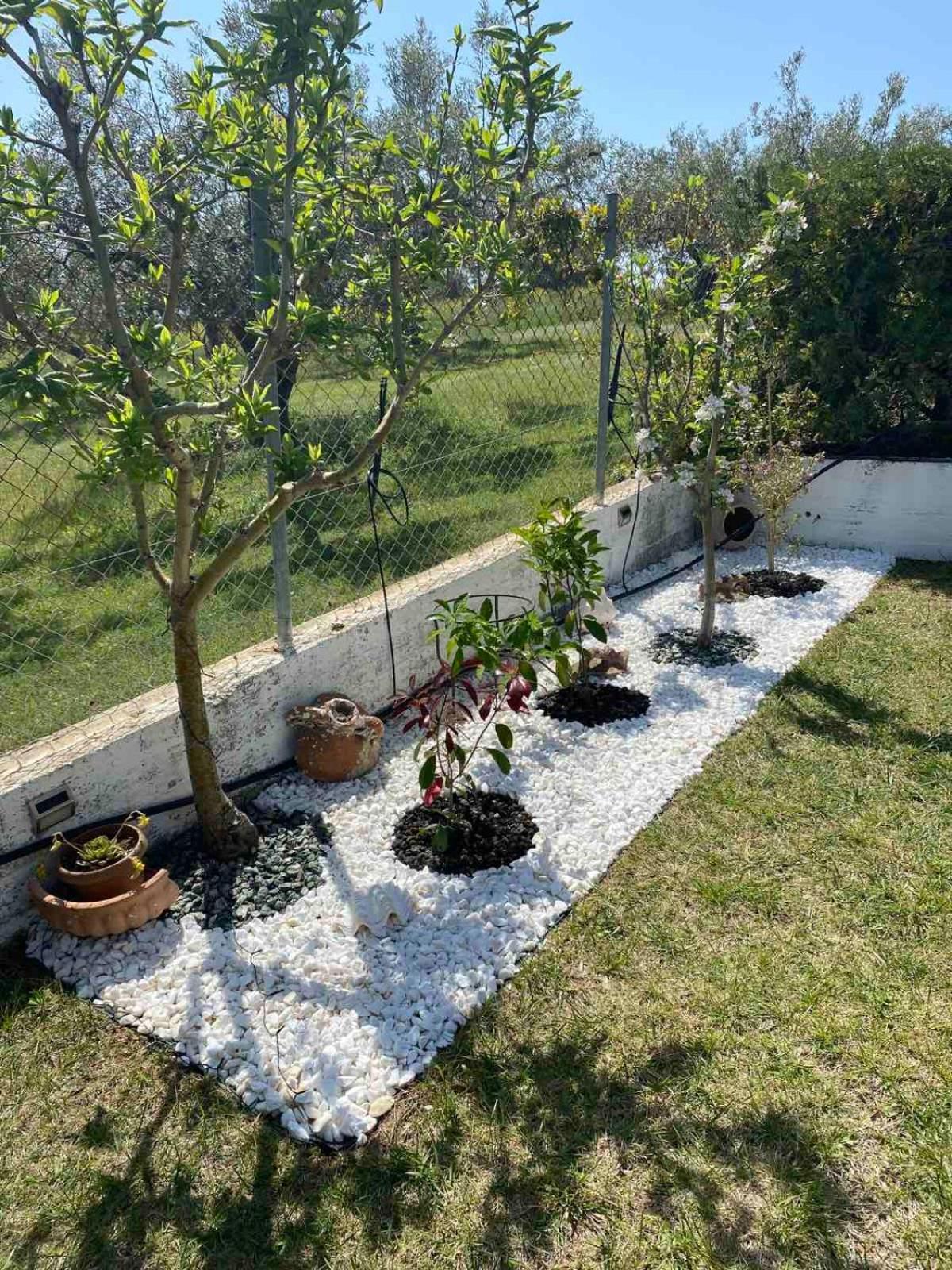 Golden House Apartment Alexandroúpolis Ngoại thất bức ảnh